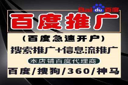 竞价SEM案例分享：快速提高网站流量技巧